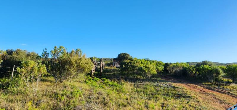 0 Bedroom Property for Sale in Albertinia Western Cape